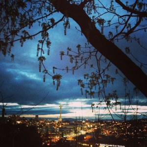 Not too shabby, iPhone.