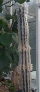 75836_553316791594_2643357_n