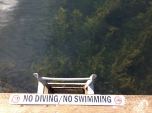 Photo Oct 05, 12 11 14 PM